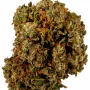 Сорт насіння канабісу Lemon Skunk Feminised Gold